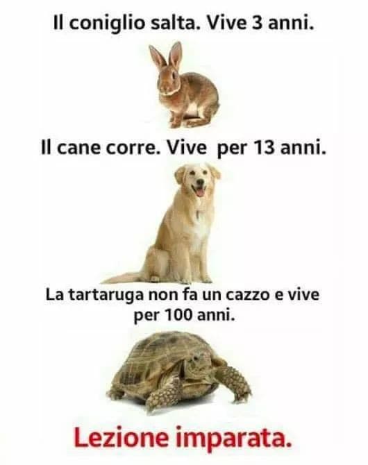 Troppo vero. 