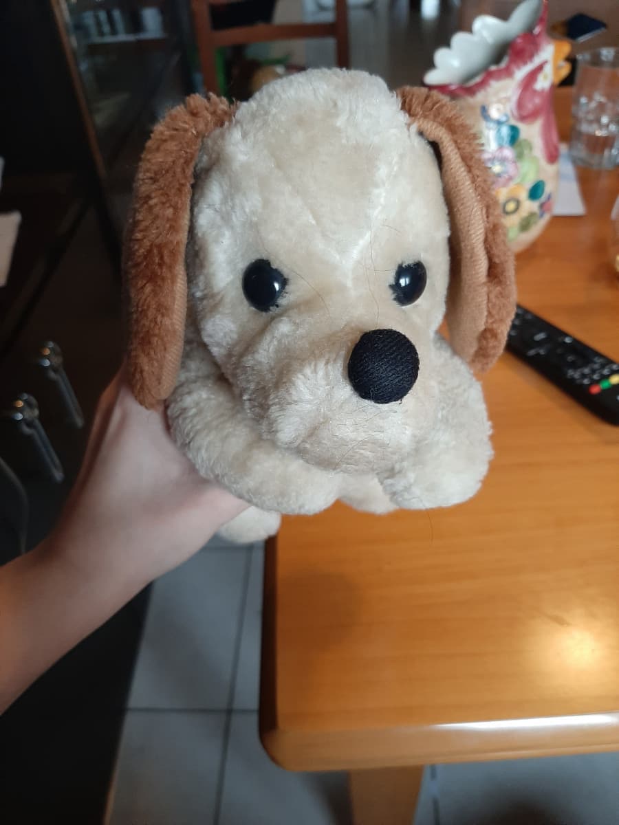 Sistemando la mia stanza ho trovato questo peluche??