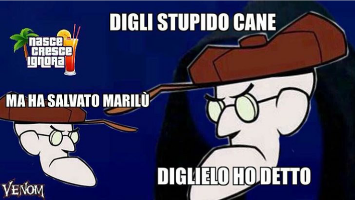 STUPIDO CANE, MI FAI SEMBRARE UN MOSTRO