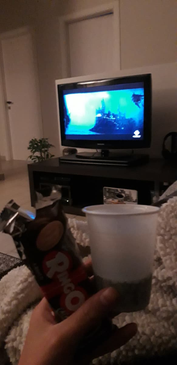 Coca-Ringo+Harry Potter+Coperta+cane sulle gambe che non si vede dalla foto= serata pefetta