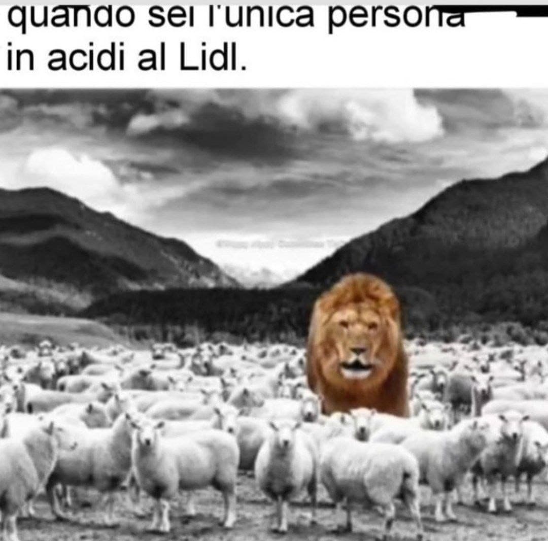 ok vedo che questo sito ha raggiunto ufficialmwnte il baratro ciao alla prossima👍
