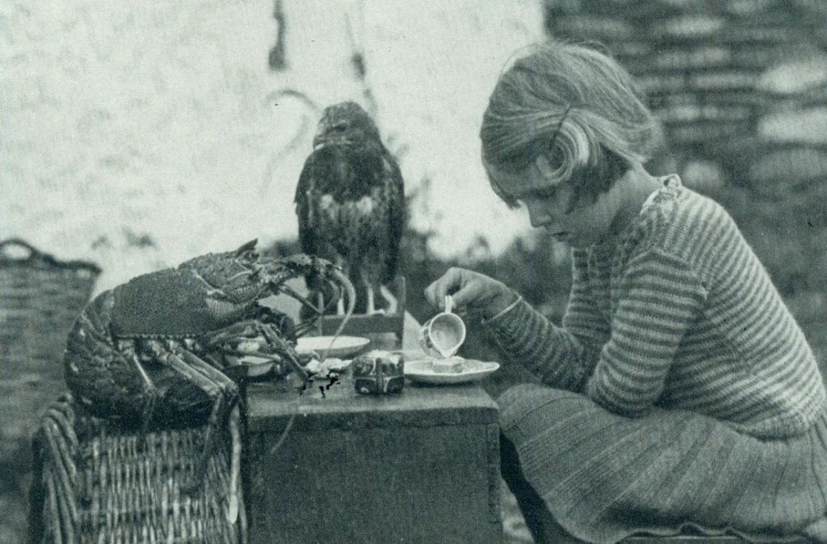 "Anna viveva da sola con la sua famiglia su un'isola. Adorava prendere il tè con i suoi amici: un'aragosta e un piccolo falco" - National Geographic, 1938