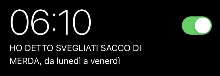 Ecco cosa devo fare per evitare un 4 per non aver svolto tutta la marea di compiti per domani 