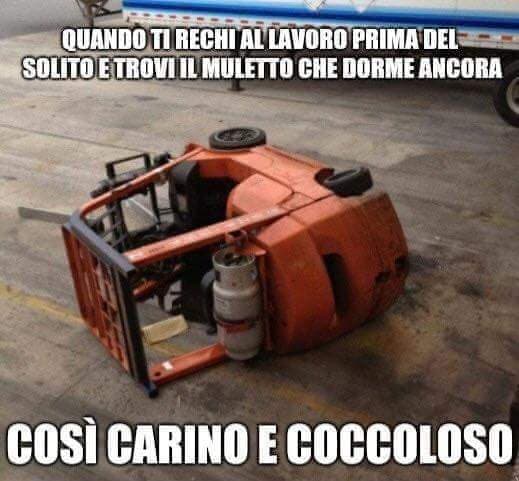 Non è carino...