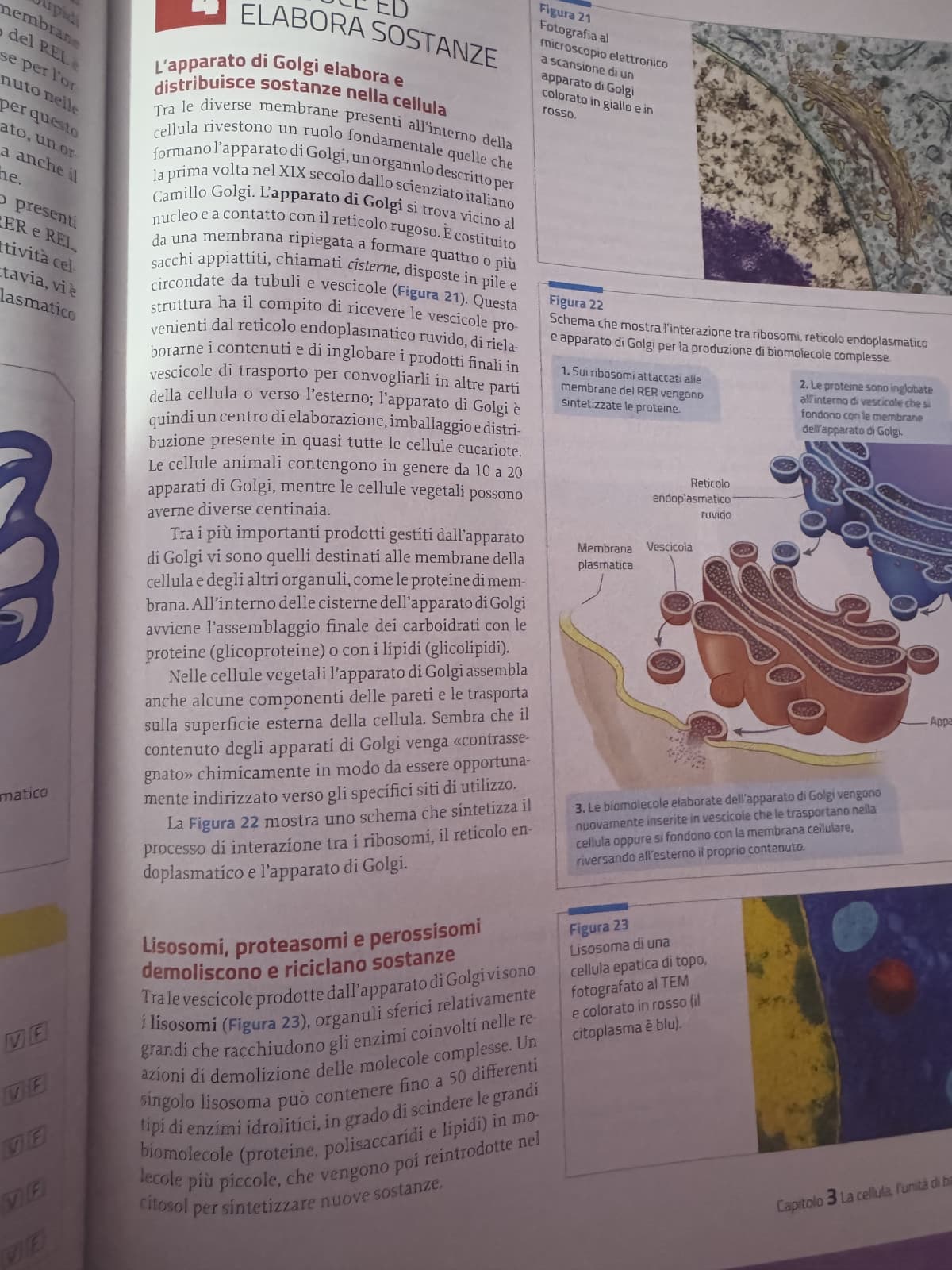 ancora sveglia per studiare 🙂