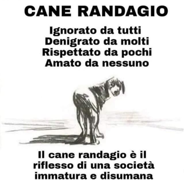 Un’assurda verità....? 