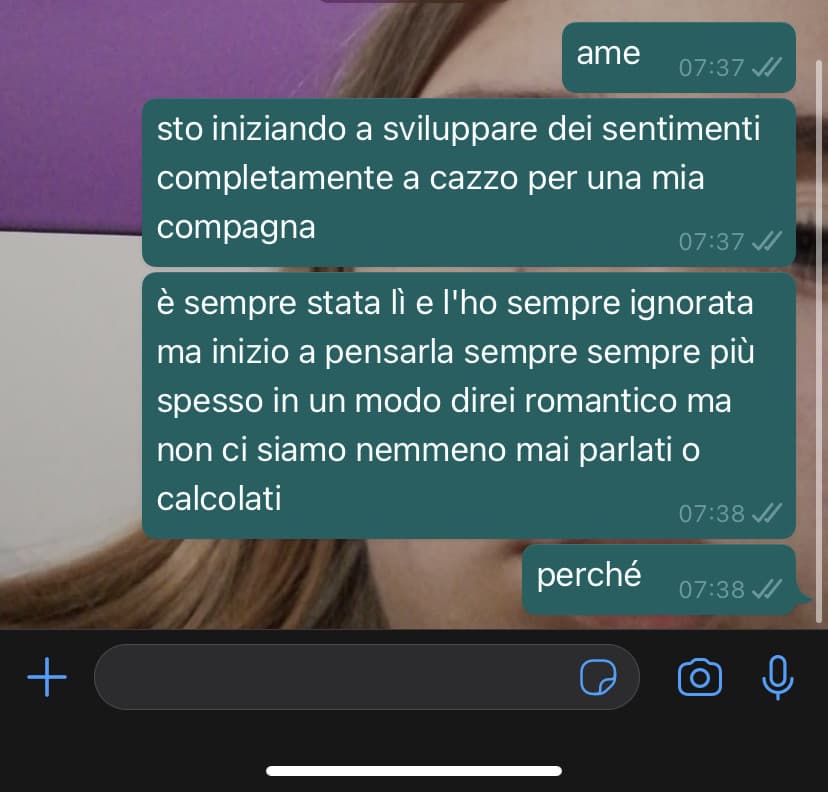 no spiegateme perché non ha senso 