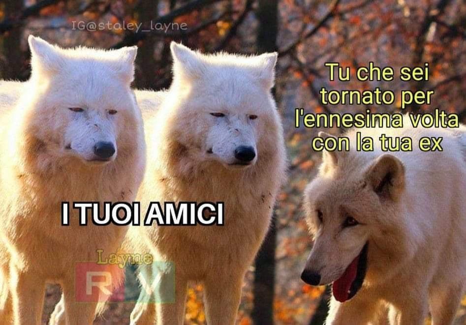 A chi di voi è già capitato l'amico traditore? 