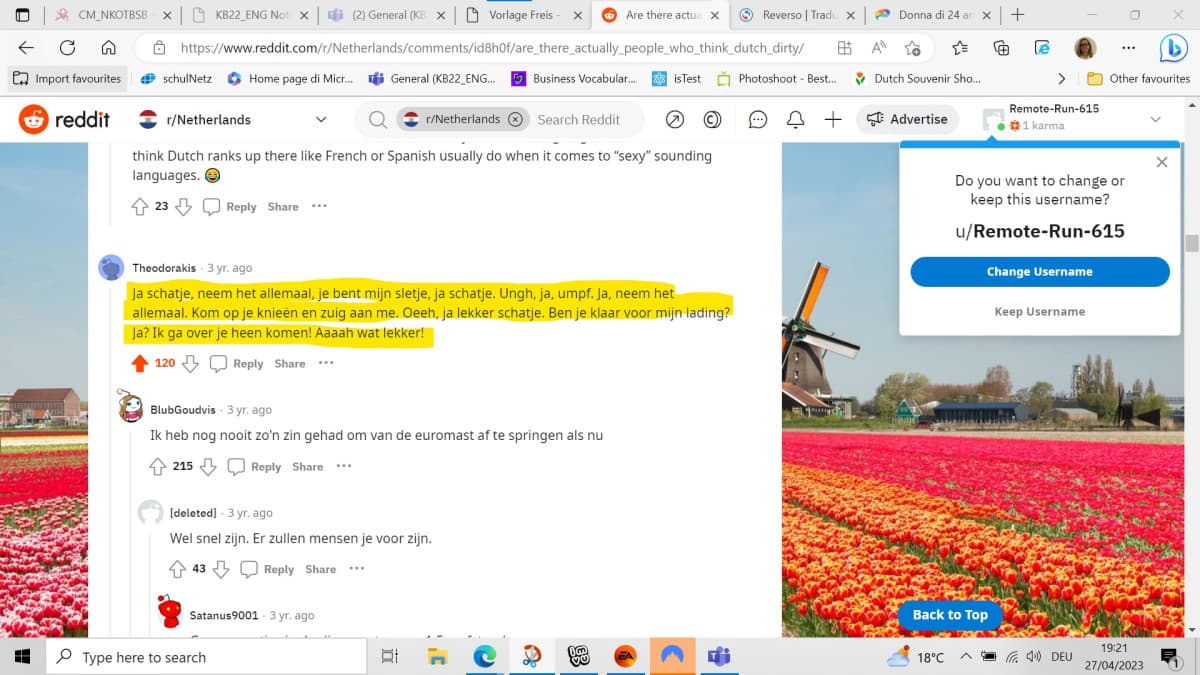 seguo r/Netherlands su reddit e sono quasi schioppata dal ridere leggendo questo commento sotto la conversazione sul dirty talk in olandese.