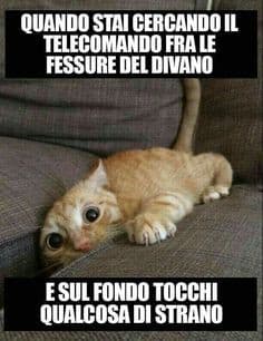 Sempre XD