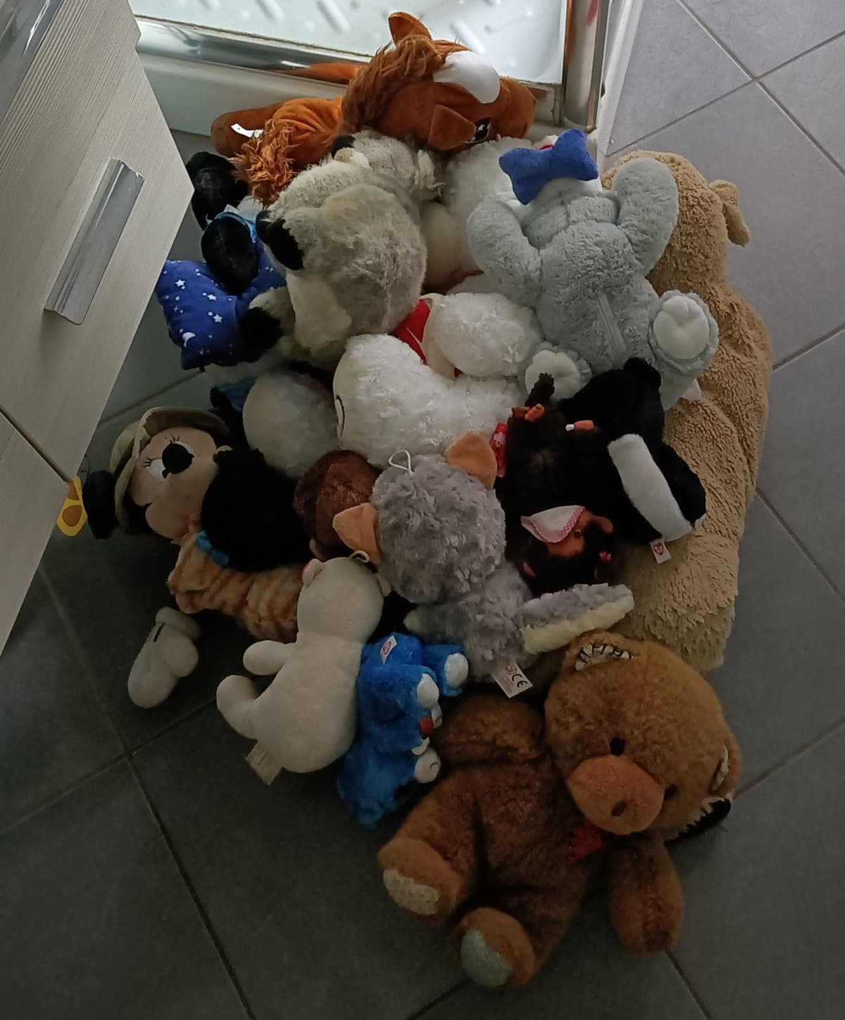 sto per fare una lavatrice di peluche