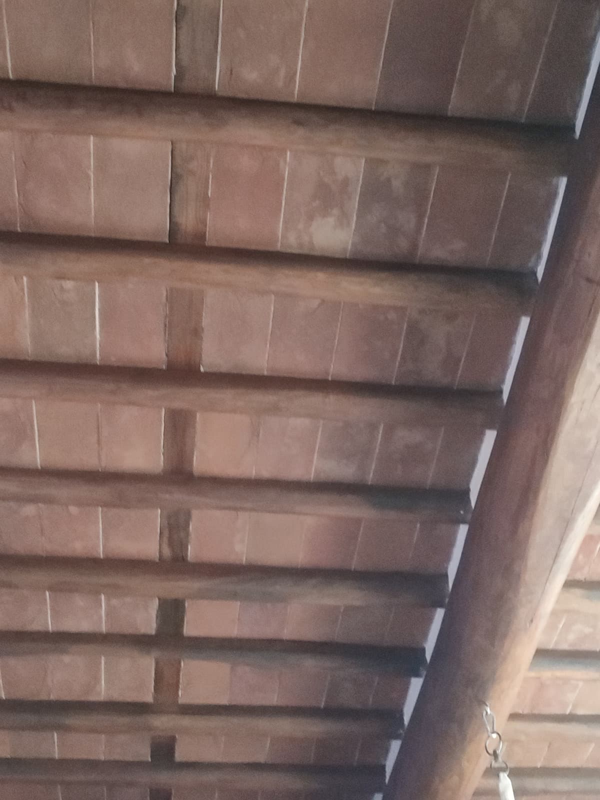 Ormai conoscete più bene voi il mio soffitto che io 