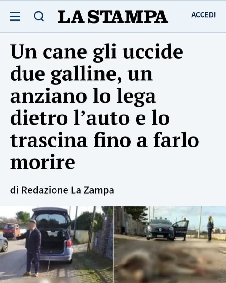Questa gente merita di essere rinchiusa e di passare le pene dell'inferno. Che bastardo.
Povero piccino, era solo un cucciolo tanto affamato... Si era perso
