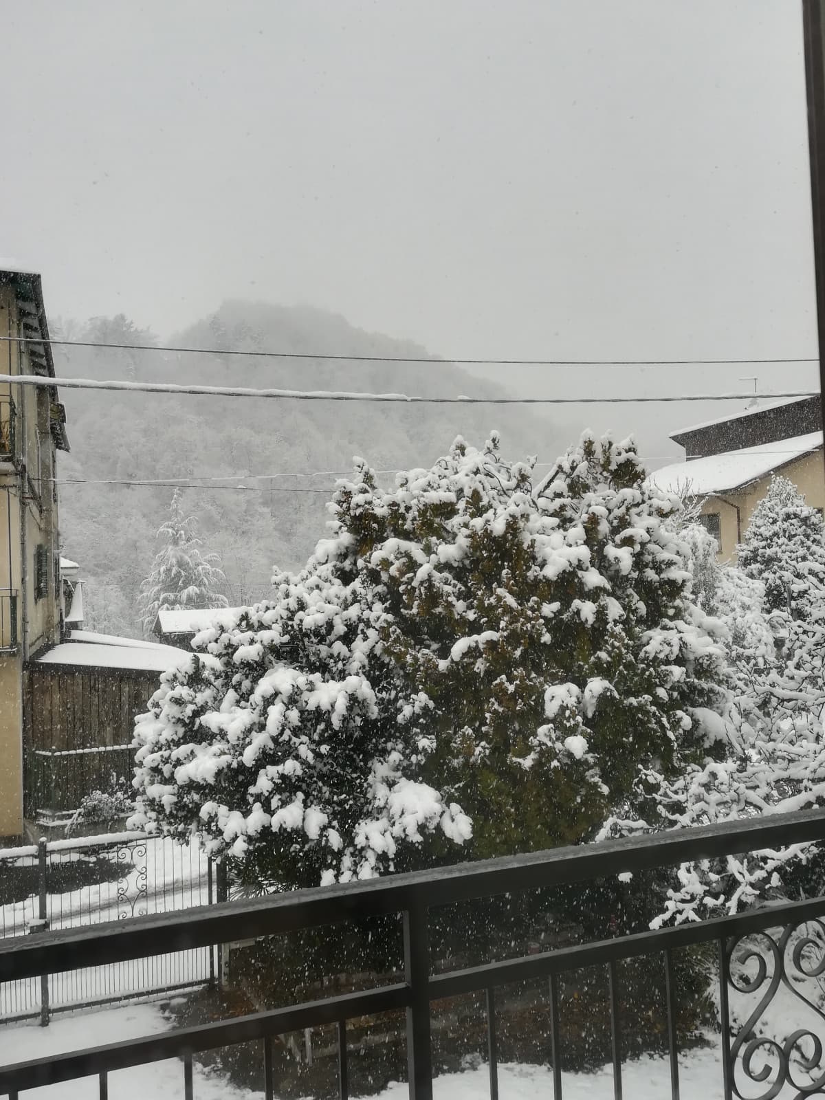 Raga NEVICAAAAAAAAAAAAAAAAA