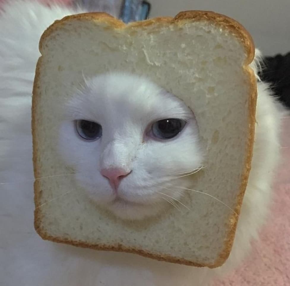 Mia nonna sta mangiando un panino e continua a fare un rumore atroce con la dentiera, mi sanguinano le orecchie 