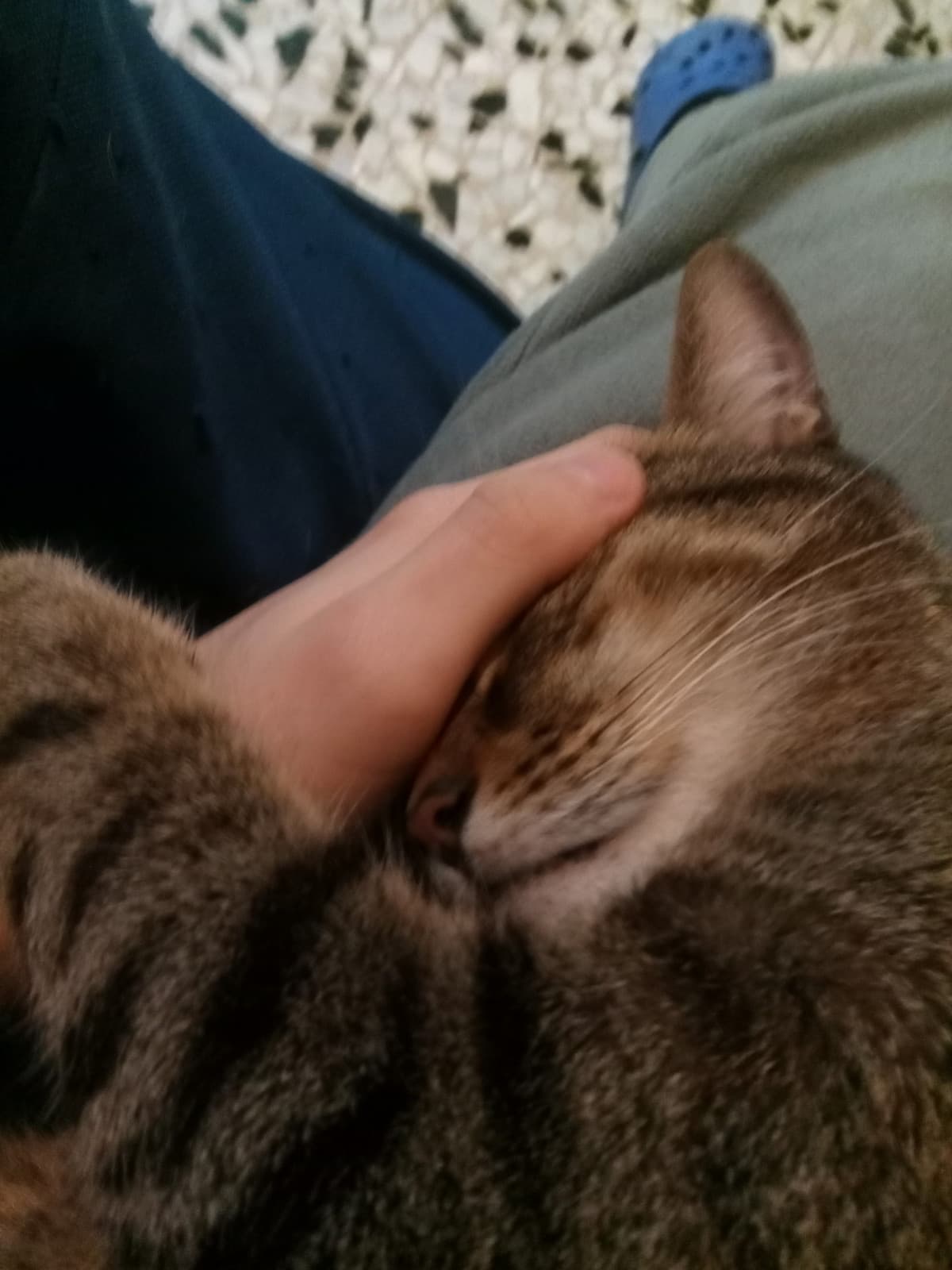 Il bro è comodo 💀