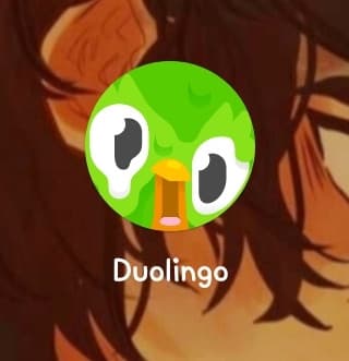 Boh raga stavo per aprire duolingo per la lezione del giorno e l'ho trovato con 'sta faccia🤣