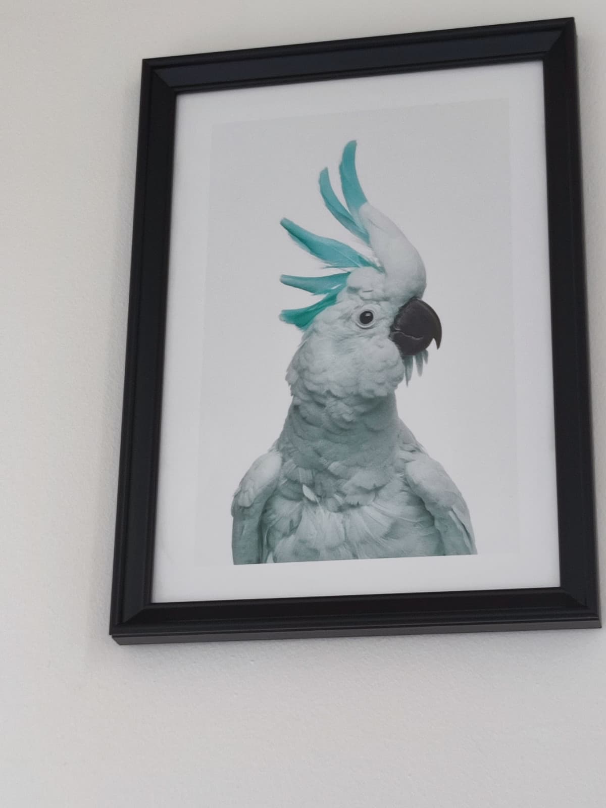 Il quadro che c'è nel bagno del mio fisioterapista