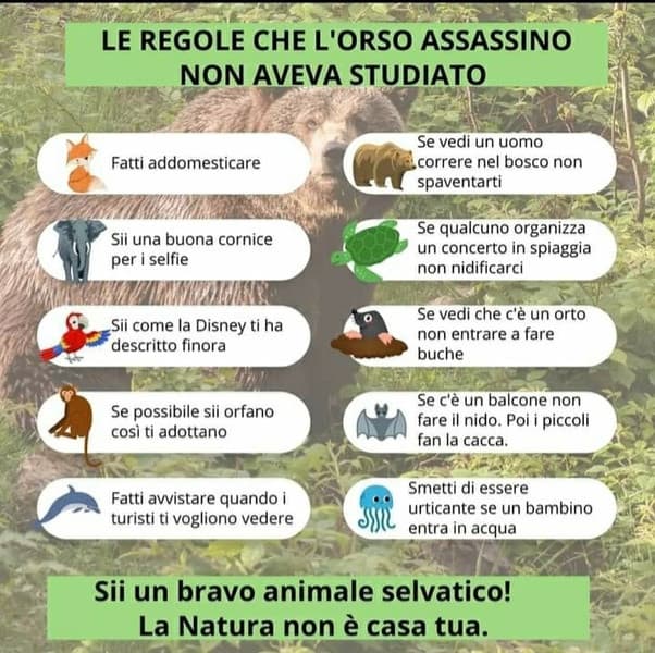 Per l’orso