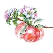 "Bellissima" di William Shakespeare