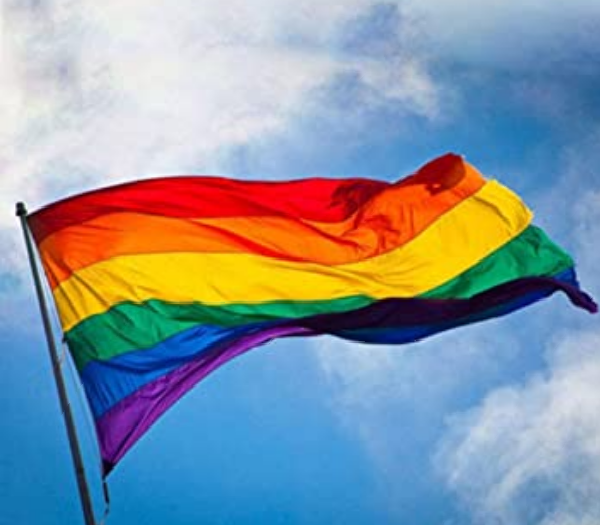 Questa cosa sta sfuggendo di mano la gente sta esagerando una ragazza ha urlato e accusato di omofobia in una gelateria della mia zona perché non avevano il gusto arcobaleno e si è sentita discriminata ( forse è meglio che ci diamo tutti una bella calmata