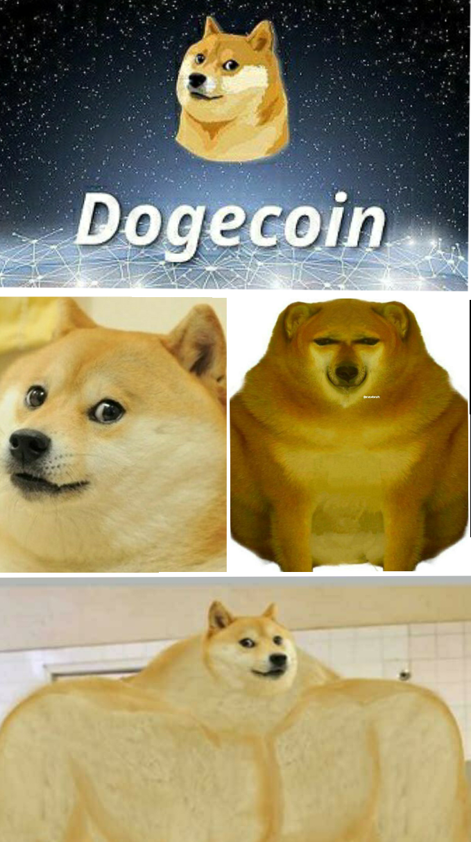 ｄｏｇｅ