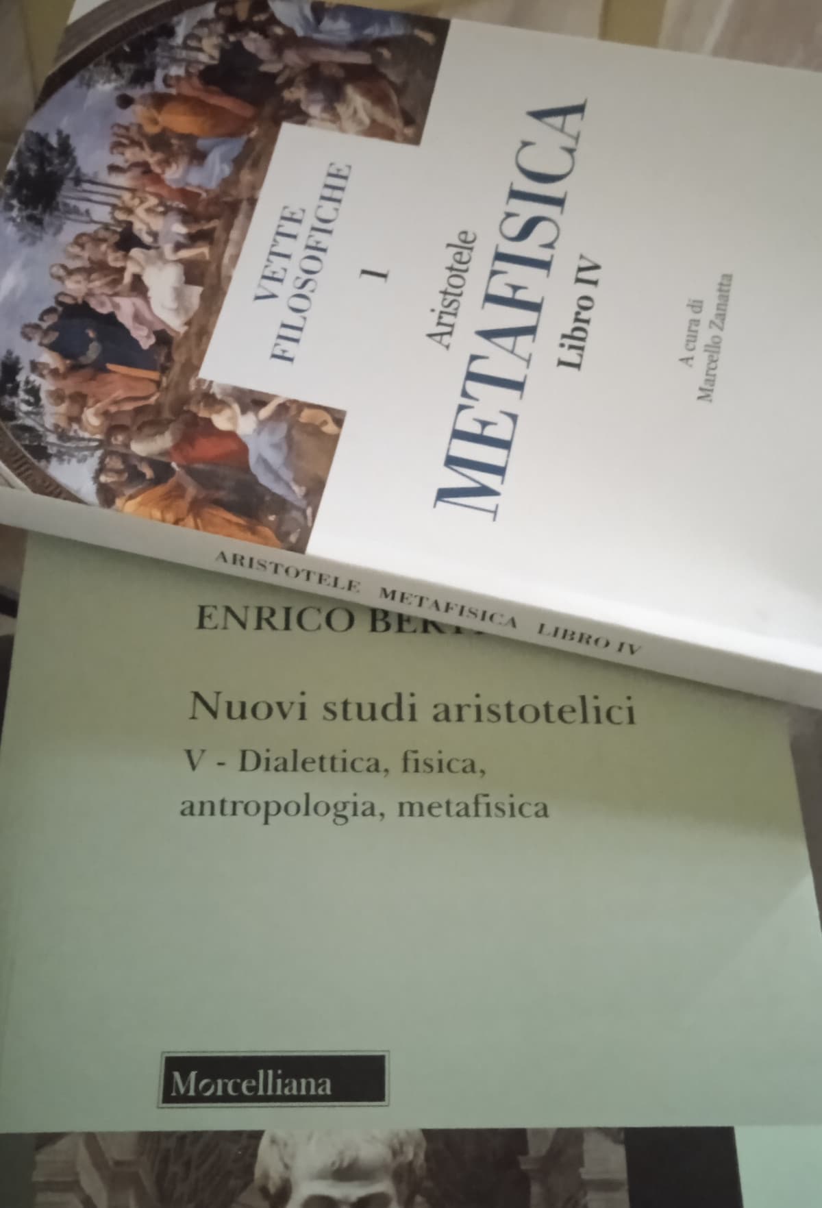 il mio suicidio è imminente cosa cazzo mi ha detto la testa quando ho deciso di fare l'università