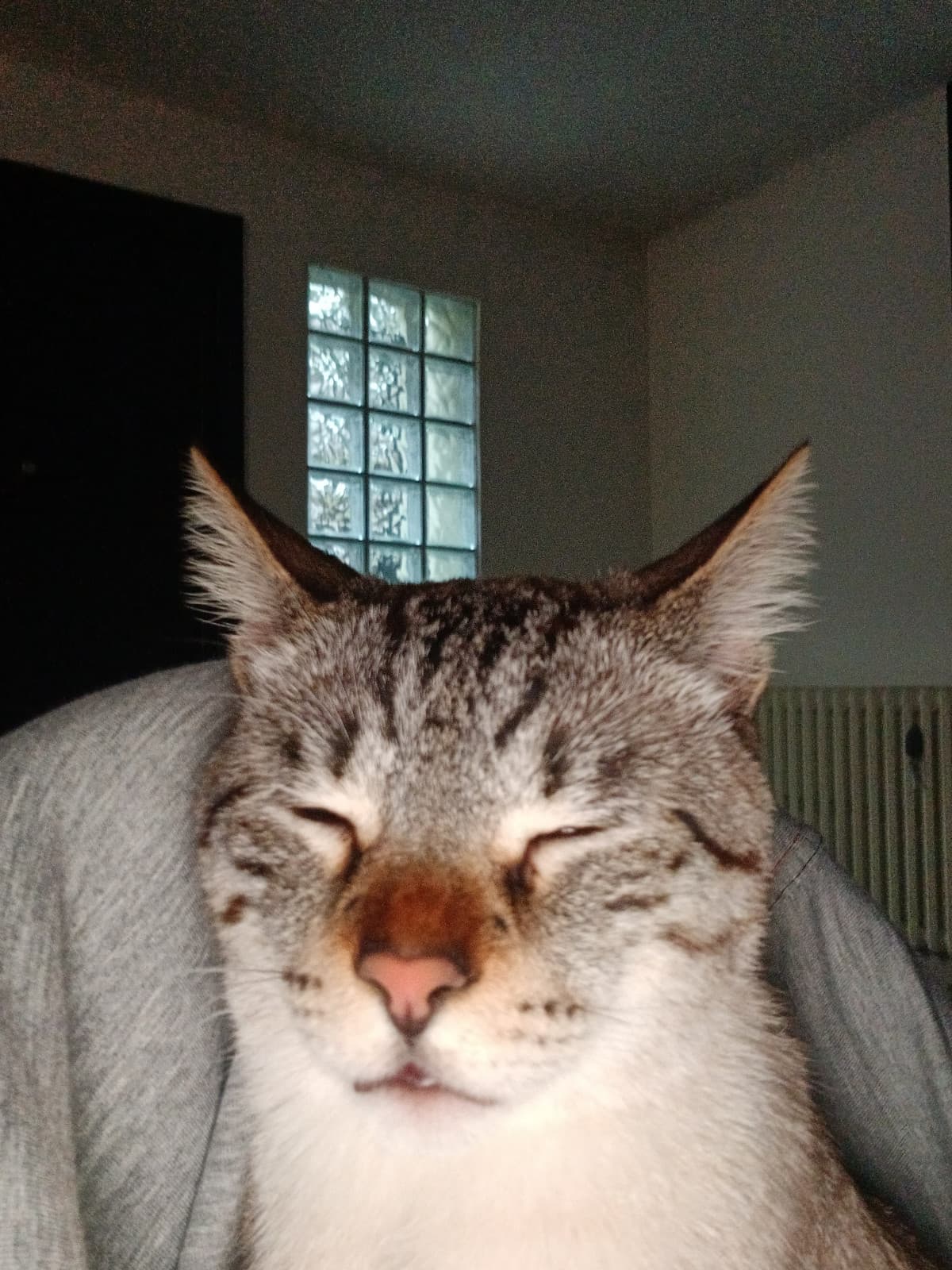 Il bro è stanco mi sa