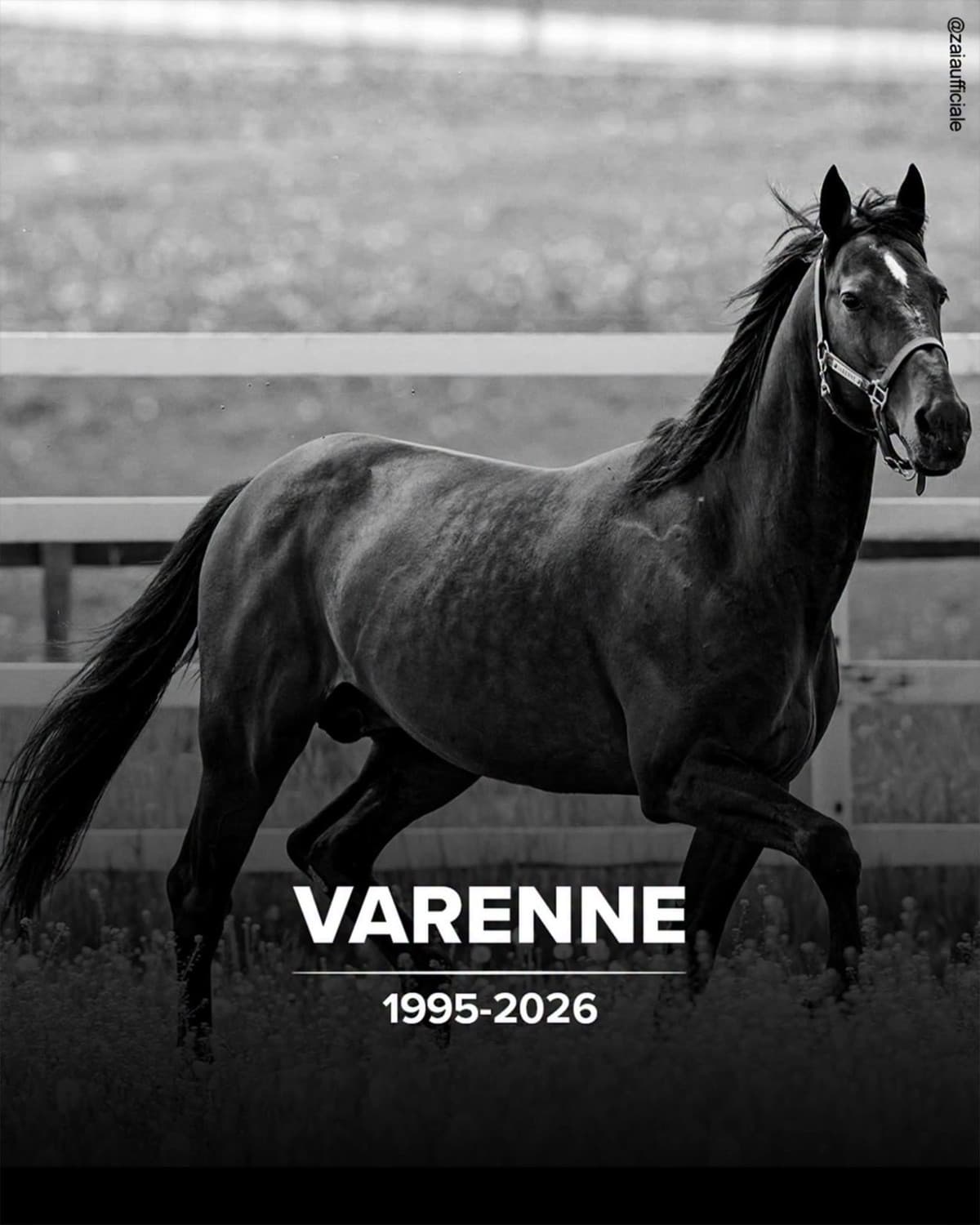 Ciao Varenne, a Dio 🙏🏻🇮🇹