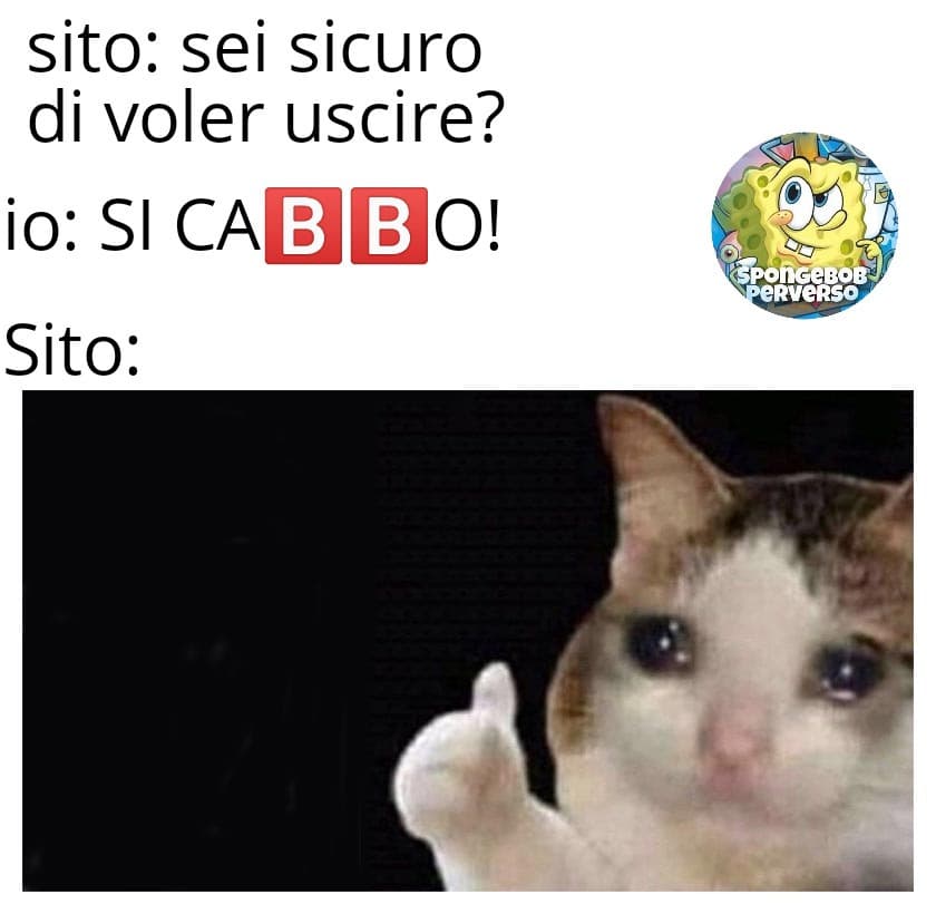 Ragazzi, sono miei meme, potete anche controllare in pagina, è la mia, voi siete i primi a vederli UwU