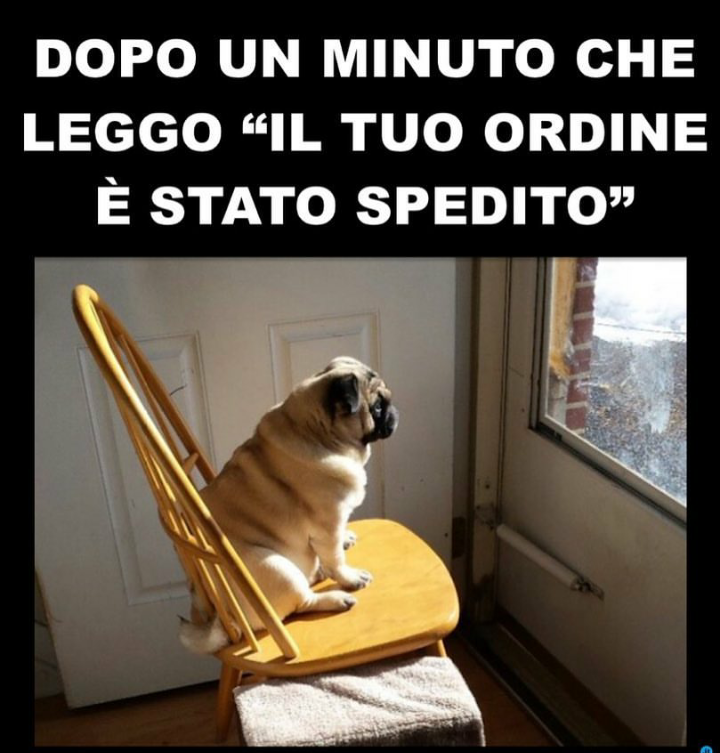 Verissimo??