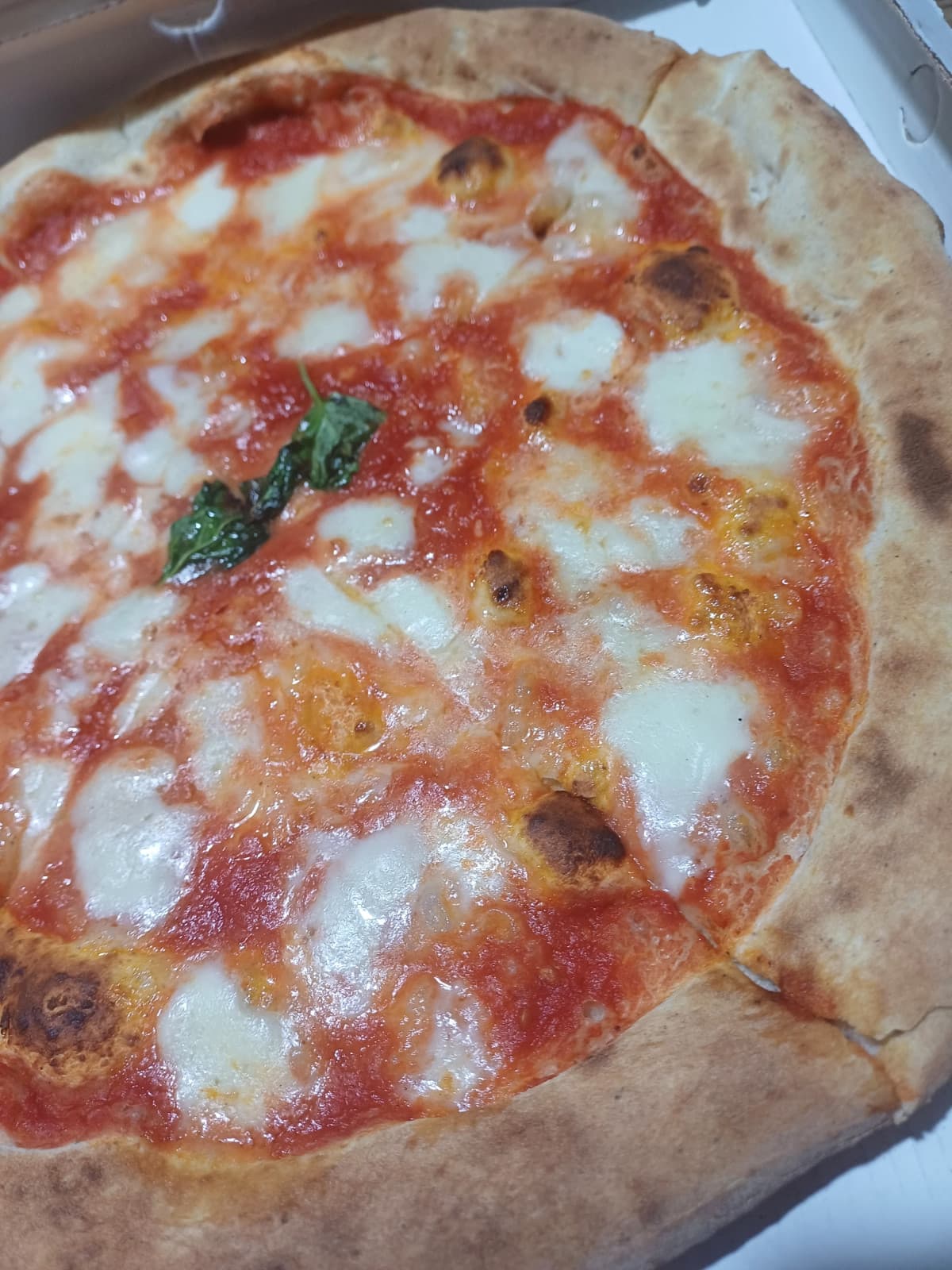 comunque la Margherita>>