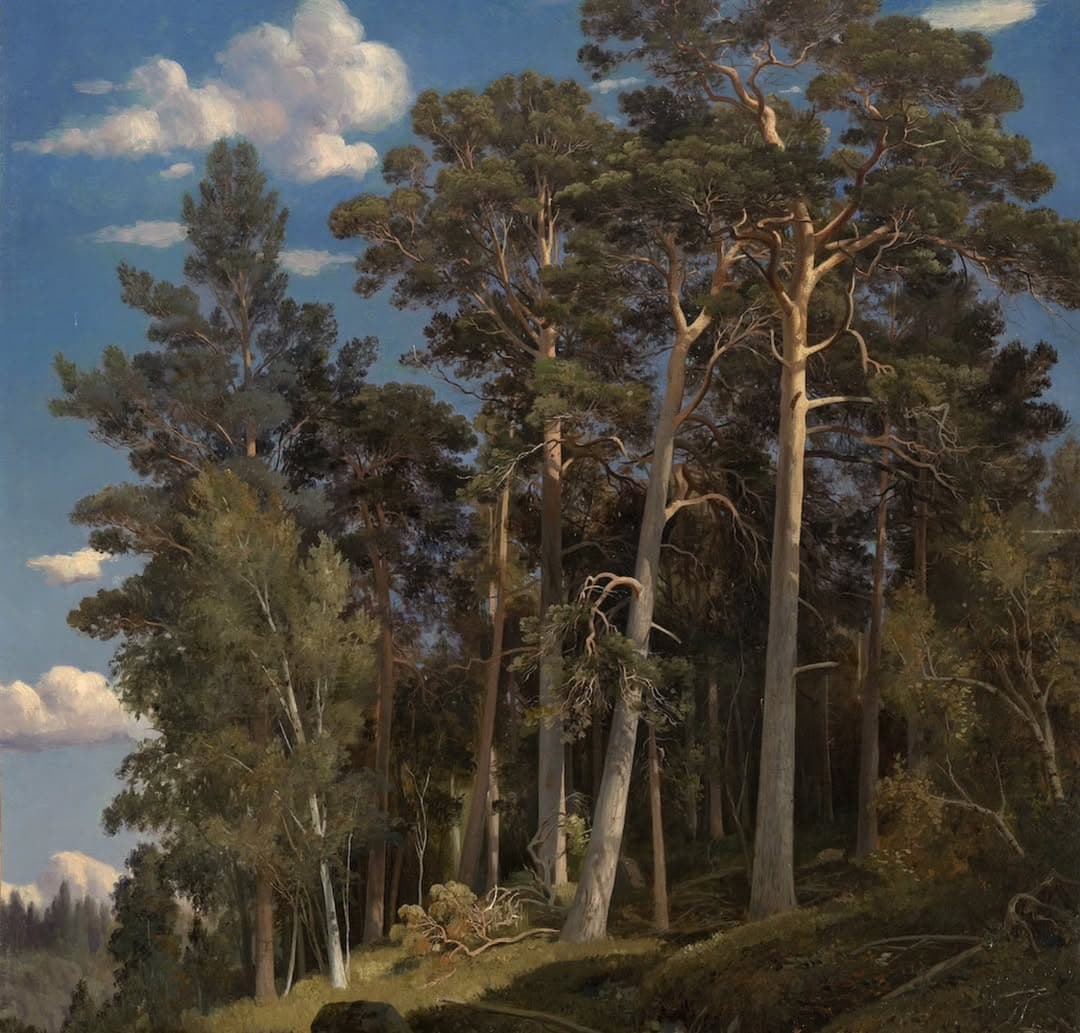 Le foreste di Ivan Shishkin