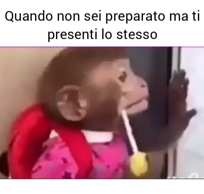 Tu, ai prossimi esami che farai.