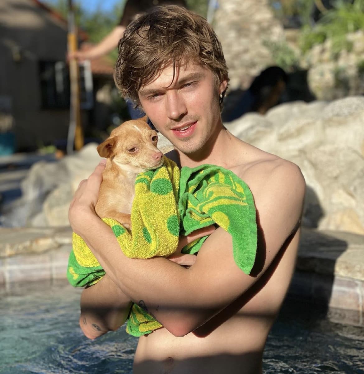 Ma che bello quel cane ?