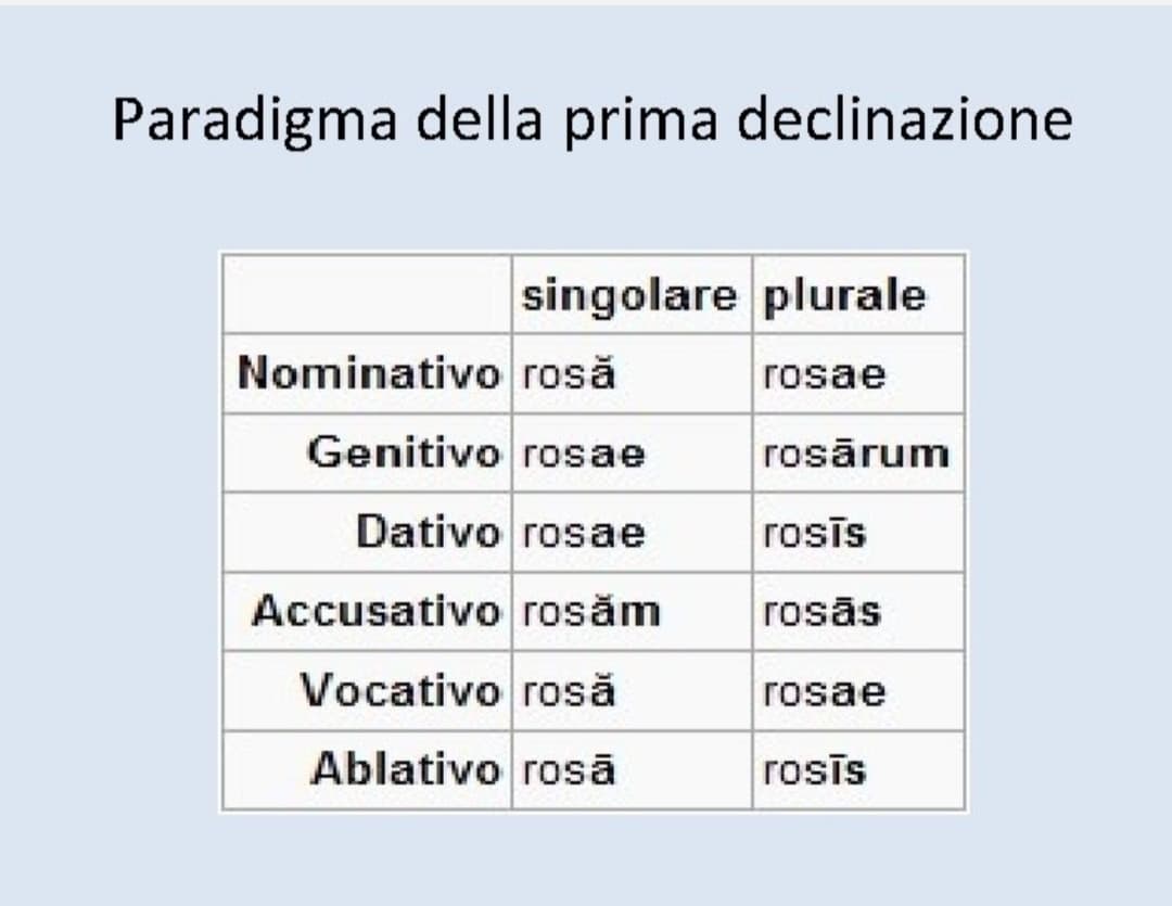 le mie compagne parlavano di preliminari e ditalini che si sono fatte fare e una ha detto che aveva fatto un test di gravidanza perchè il suo ragazzo si era strisciato mentre era "sporco". a me che veniva da sboccare ?