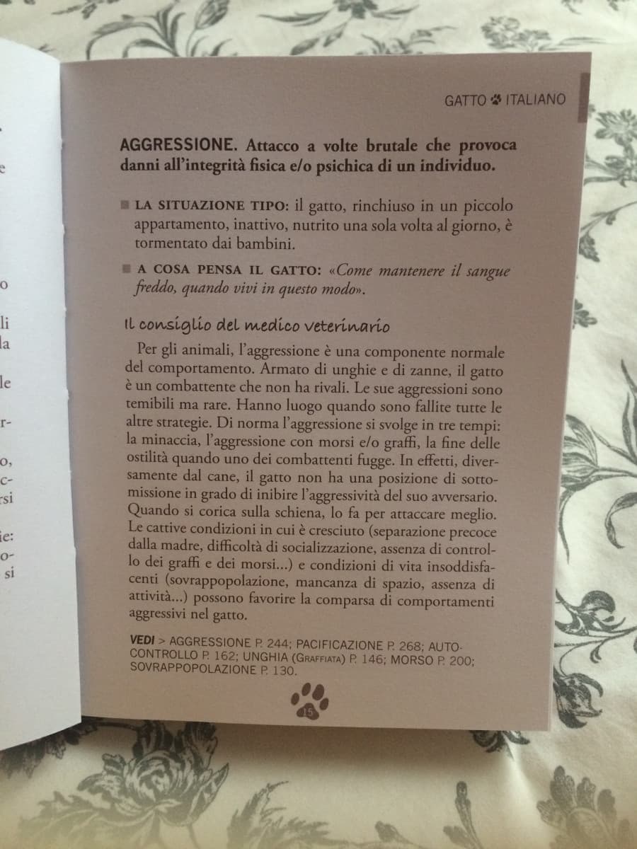 Raga il dizionario del gatto è reale 