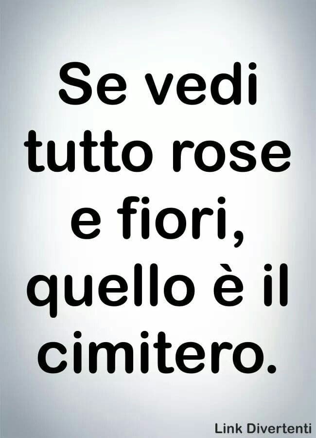 Sappiamo che nella vita non c'è solo la felicità o solo la tristezza. La vita è un mix