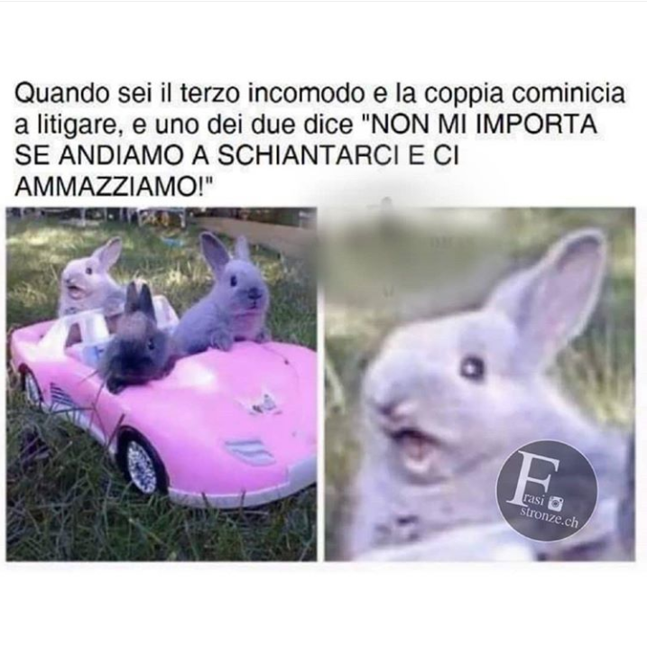 Muoio