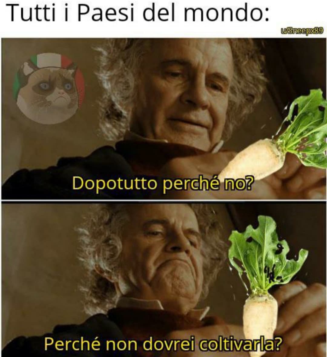 Fra poco ho metodologia,piango.