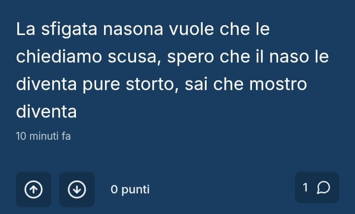 Perché mi odiate così tanto ? Perché dovete pure dire che sono una nasona sfigata ?