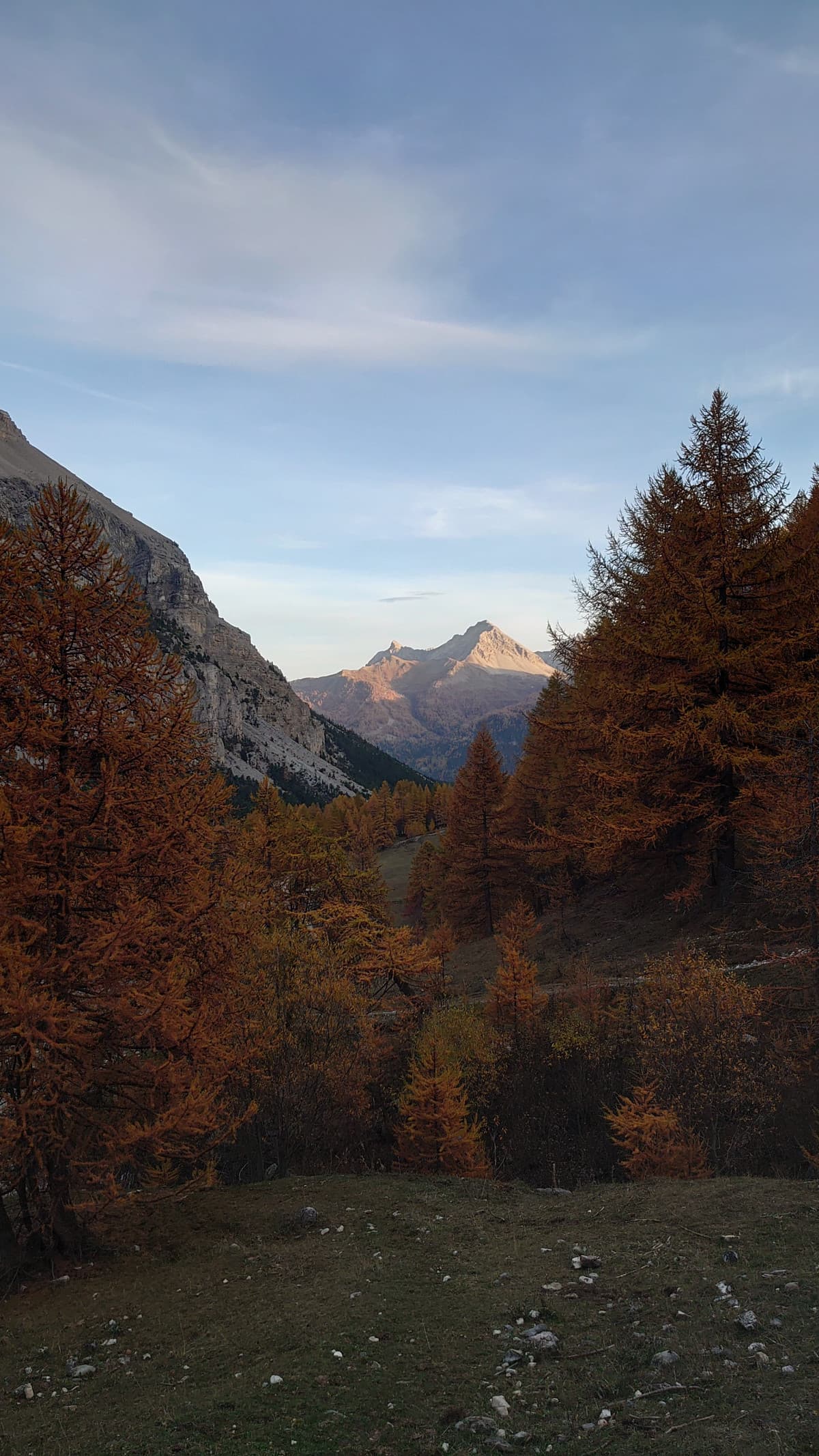 Venerdì faccio ponte, che bello 4 giorni per riposarsi (forse) 