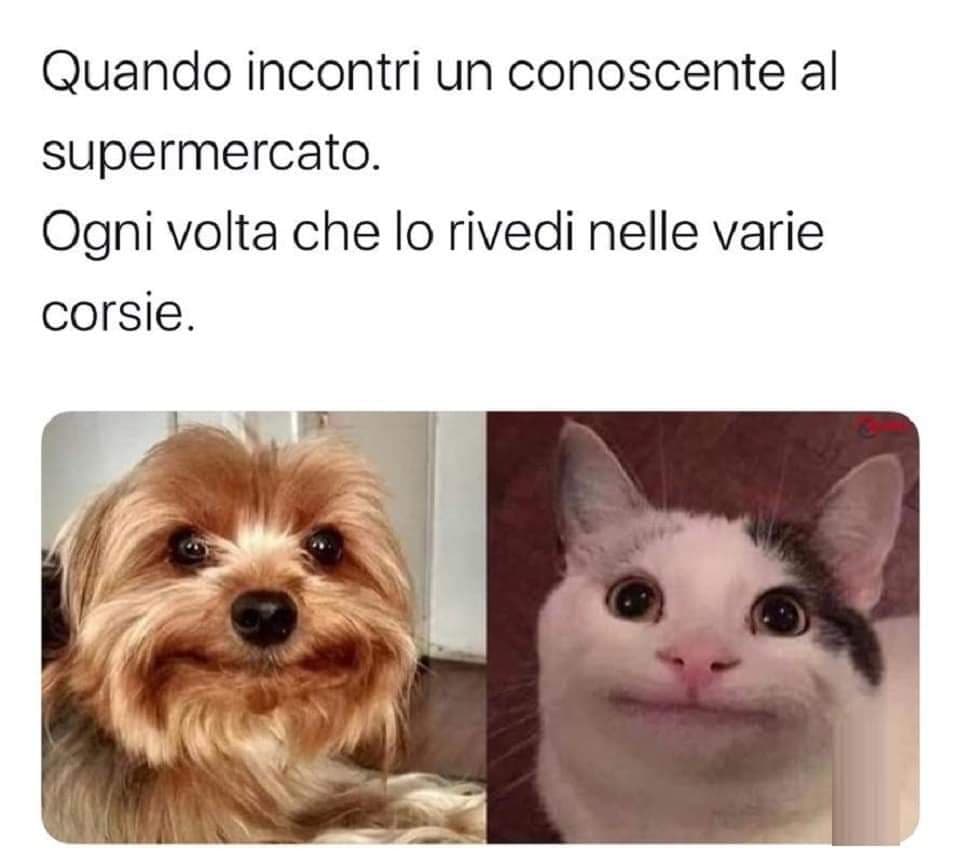 Vero??