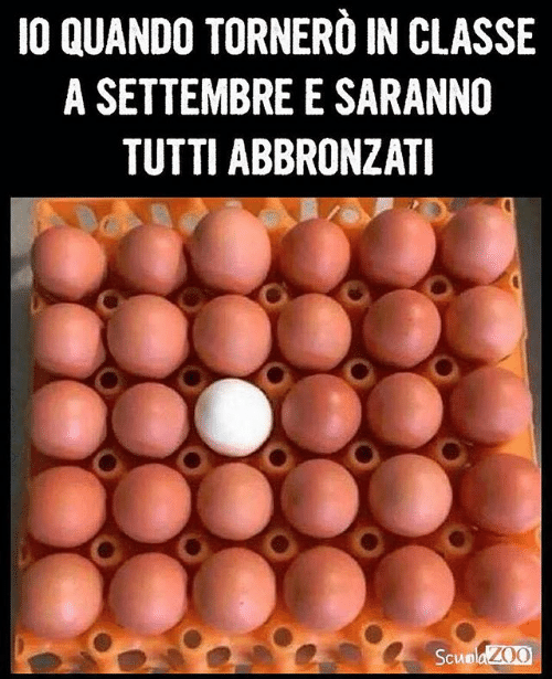 Io sono soltanto un umile mozzarella