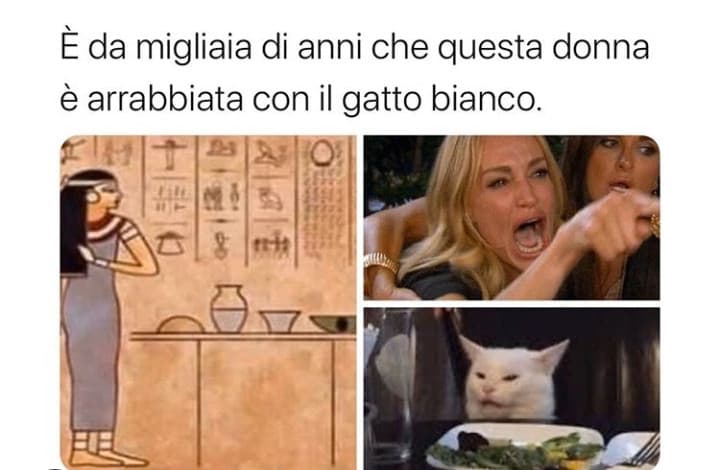 Il meme che ha fatto la storia ?