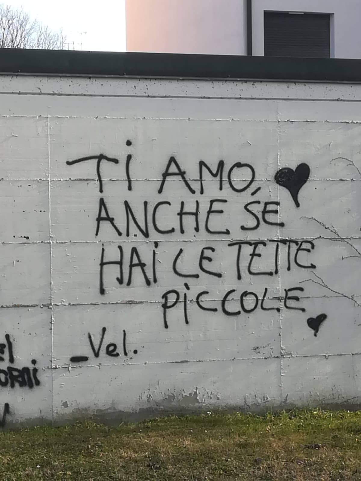 Nel mio paese, dichiarazioni d'amore importanti! 