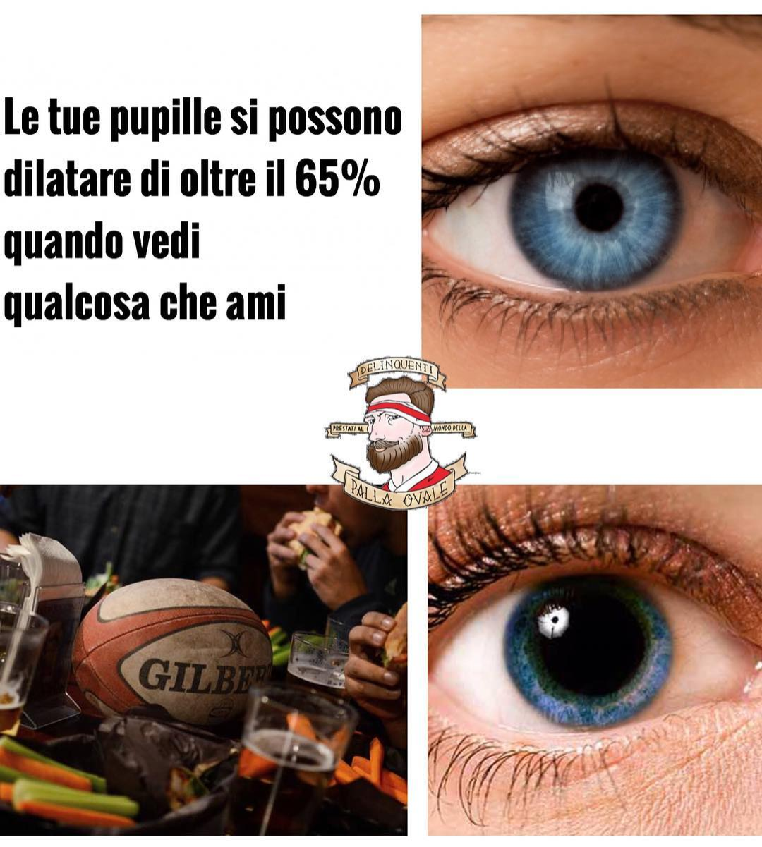 Rugby. ?❤️