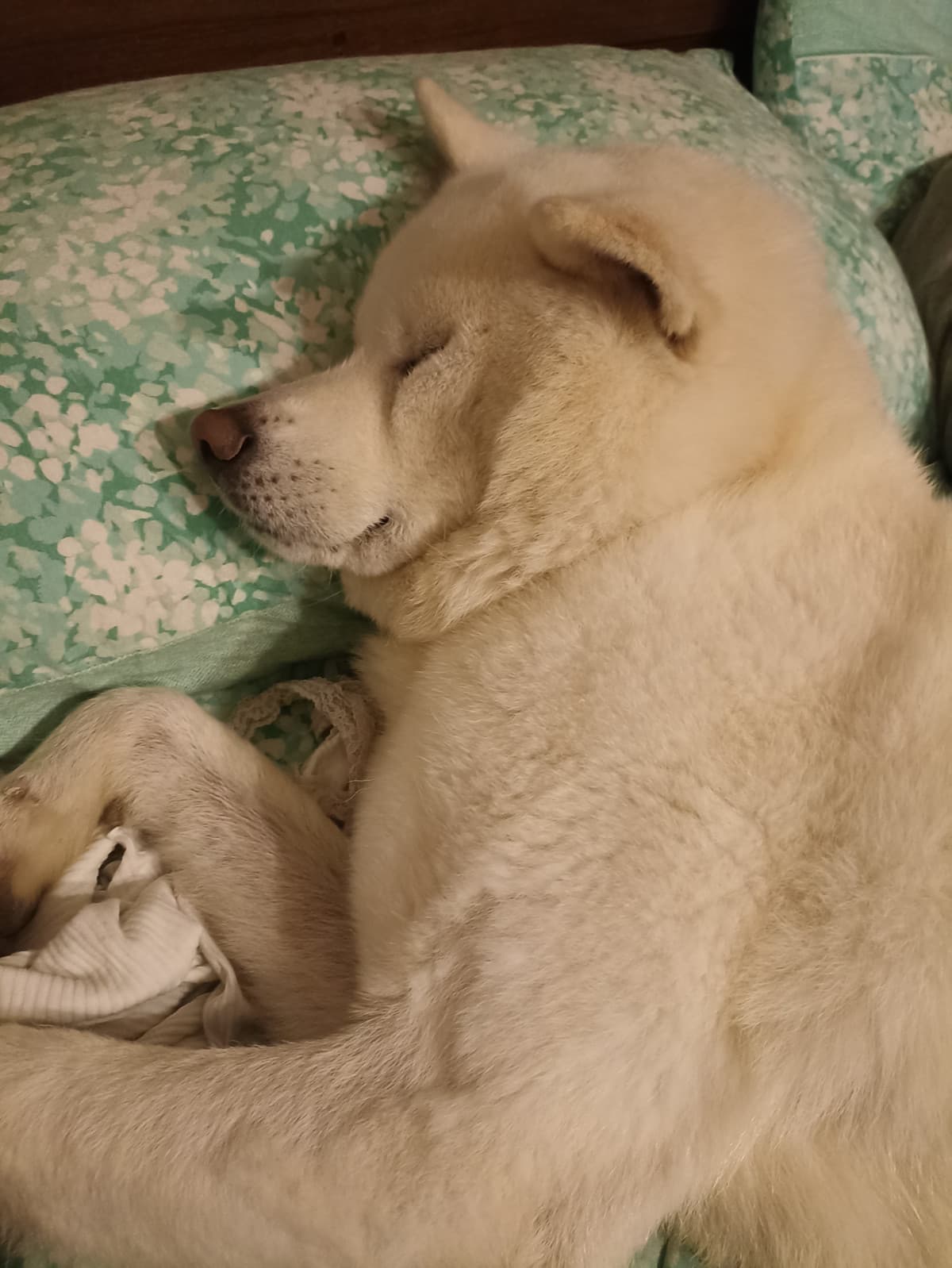 Questo è quello che succede quando mia madre non si sbriga ad andare a letto?