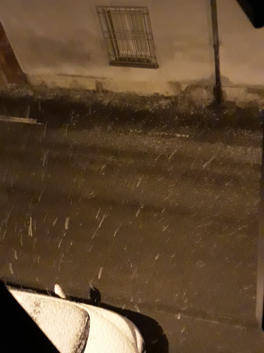 Neveeeee