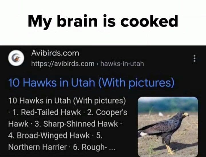 hawk 1: boo
hawk 2: aahh
those who know: ☠️☠️☠️